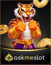AMSlot